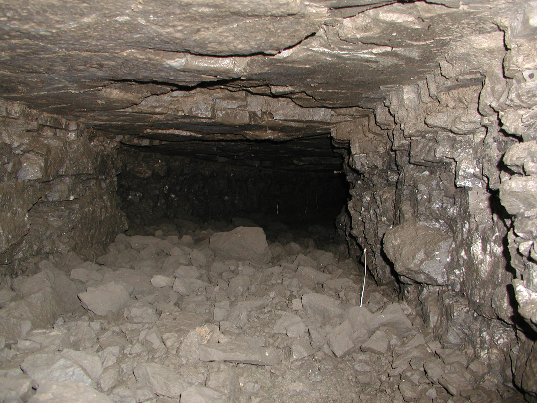 Tunnel under East Ave (8)